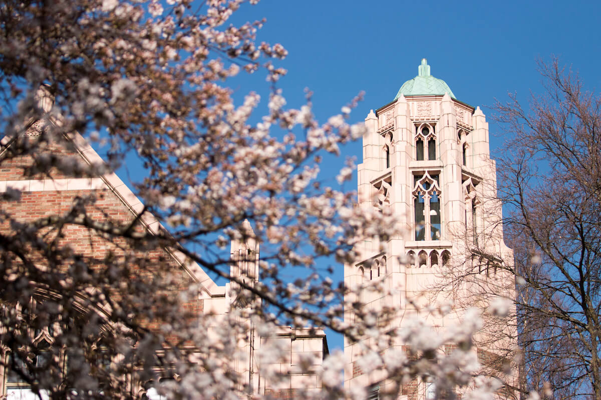 Sunny UW Quad