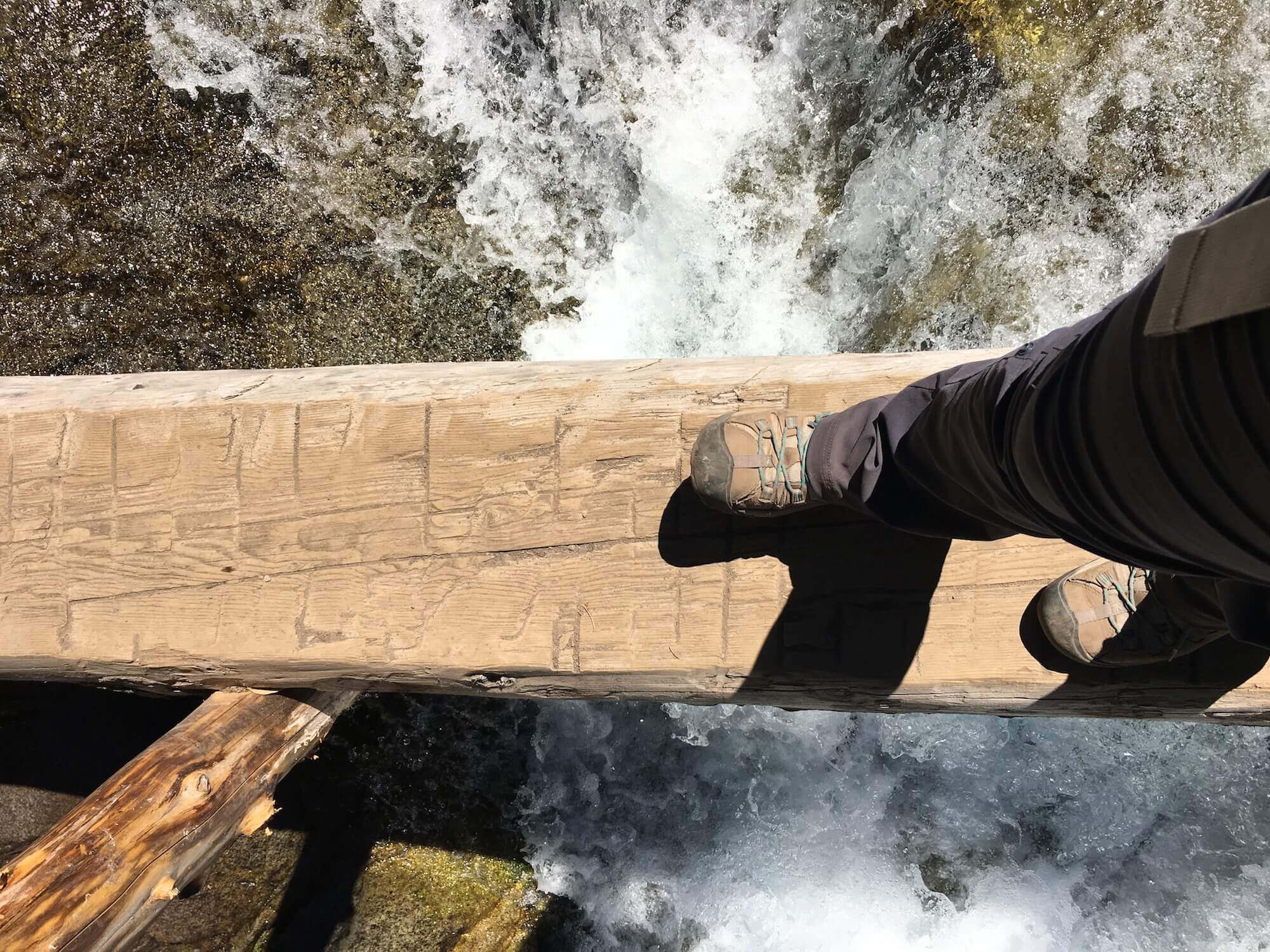 Partners in the Parks Rainier
