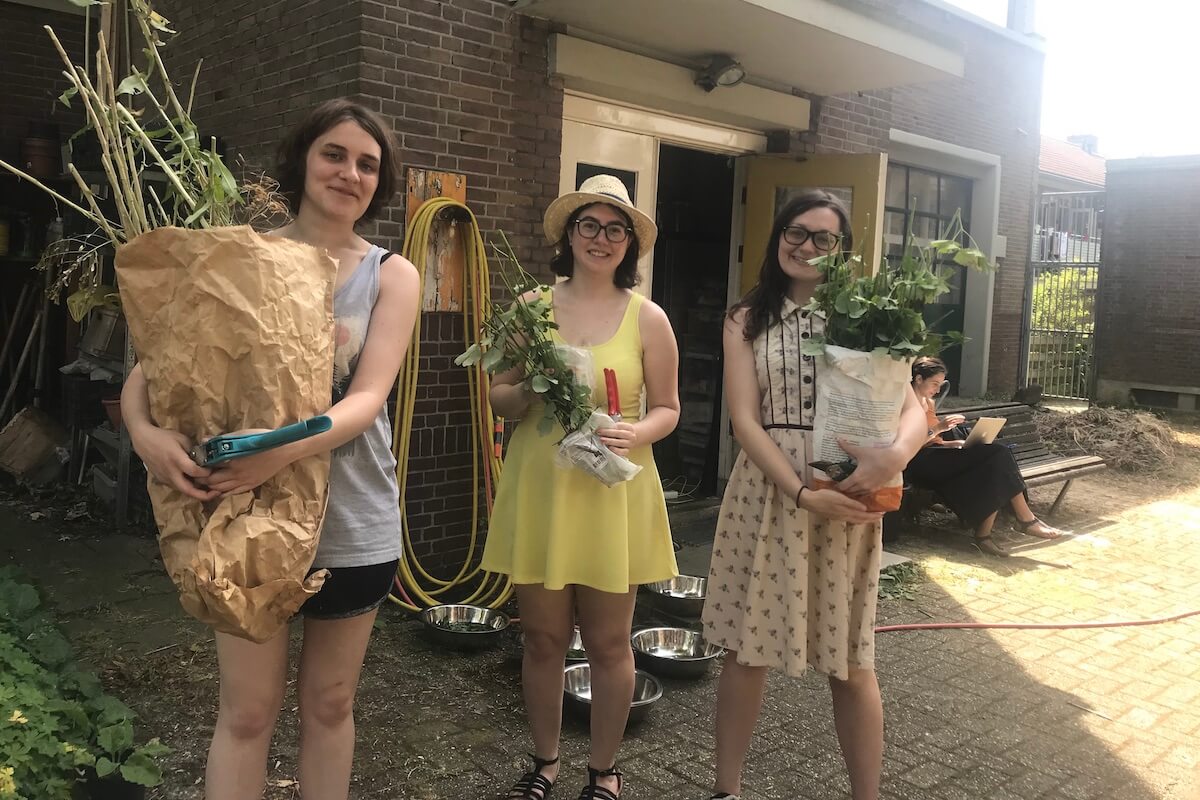 Urban Edible Harvest