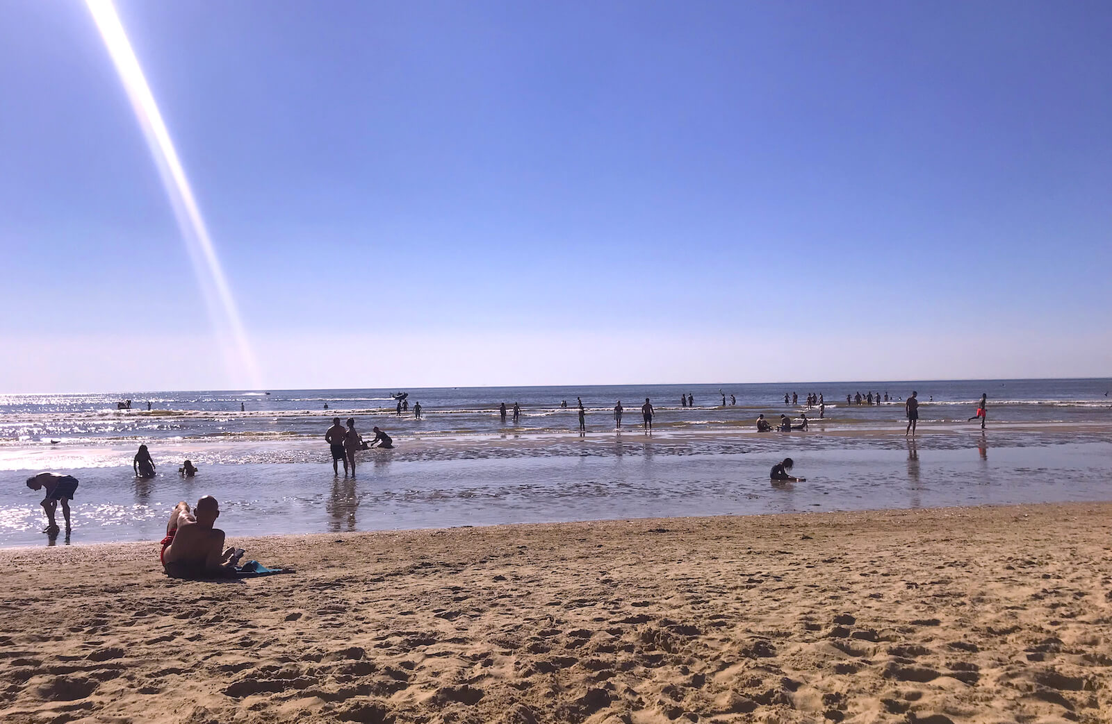North Sea Swimmers