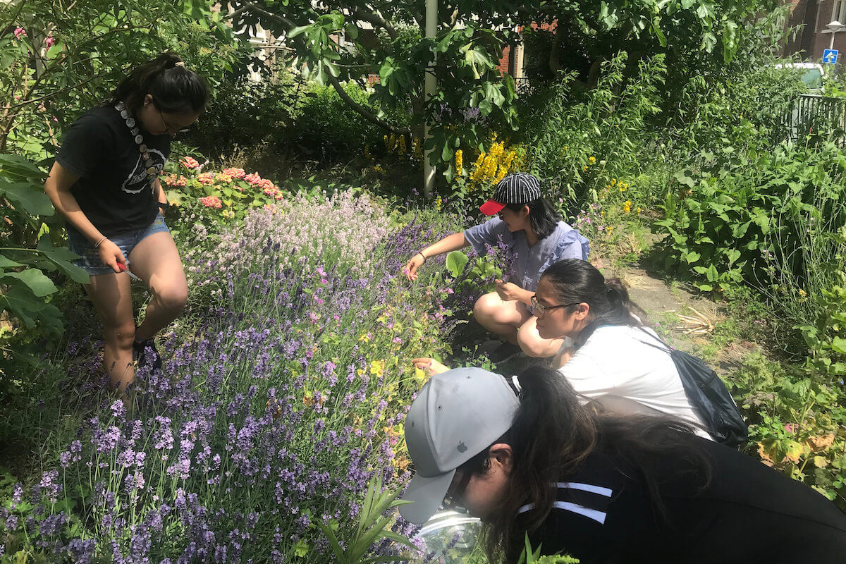 Amsterdam urban garden - students working