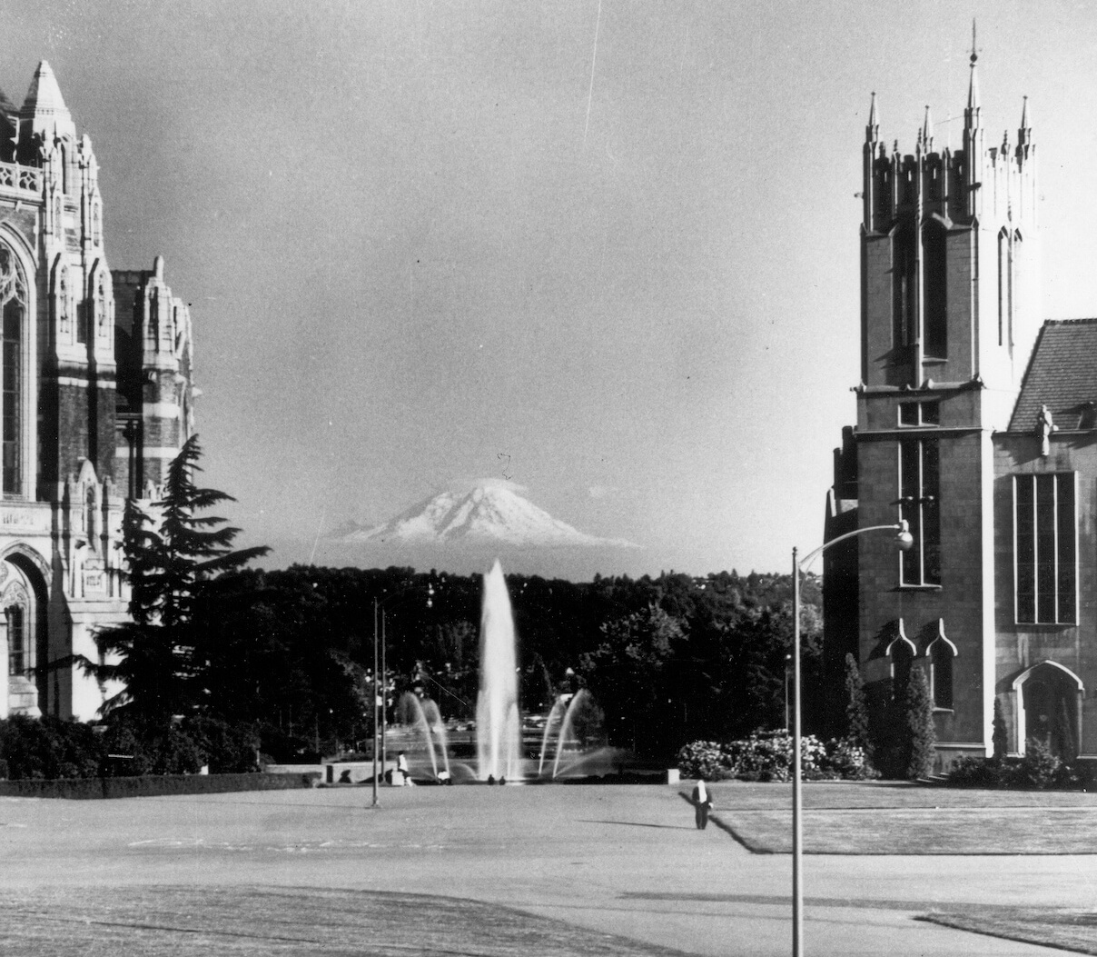 UW Mount Rainier Vista from Red Square 1950