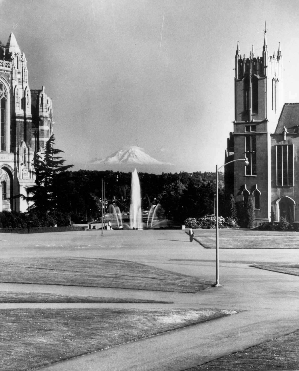 UW Mount Rainier Vista from Red Square 1950