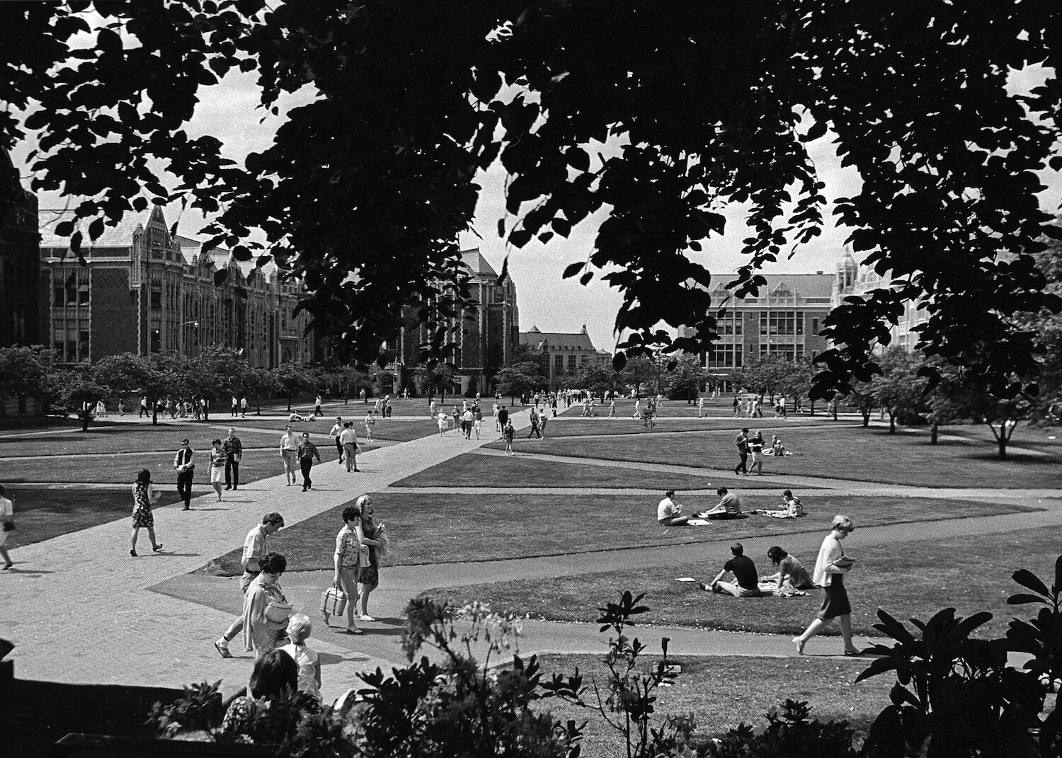 UW Quad 1967