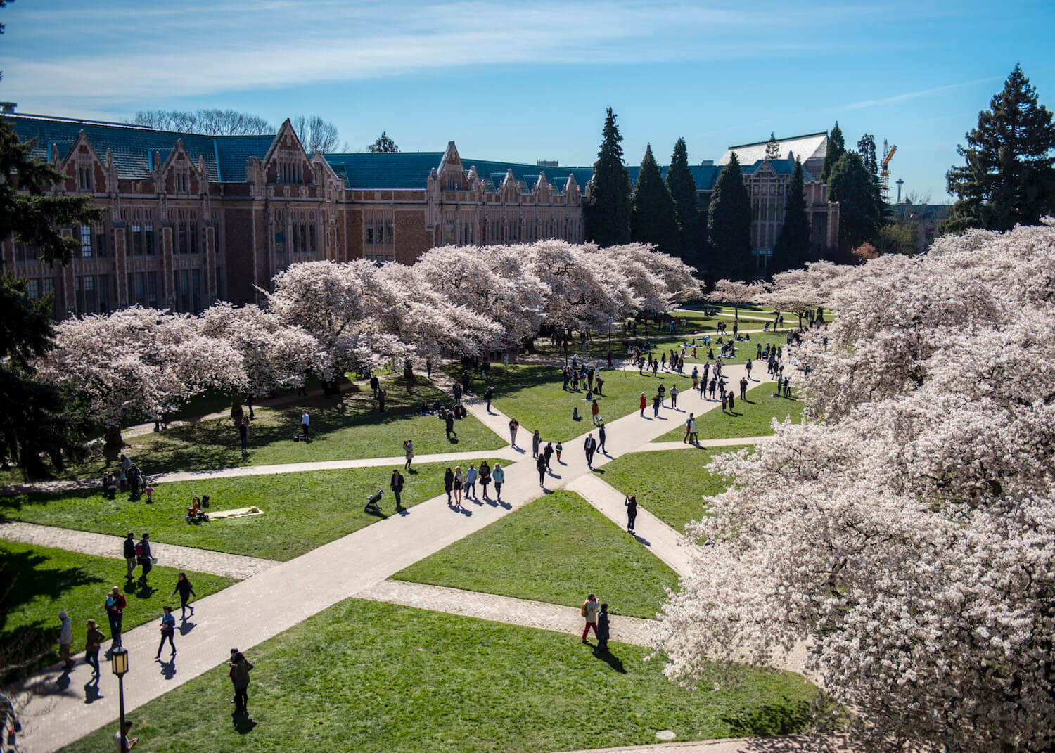 UW Quad now