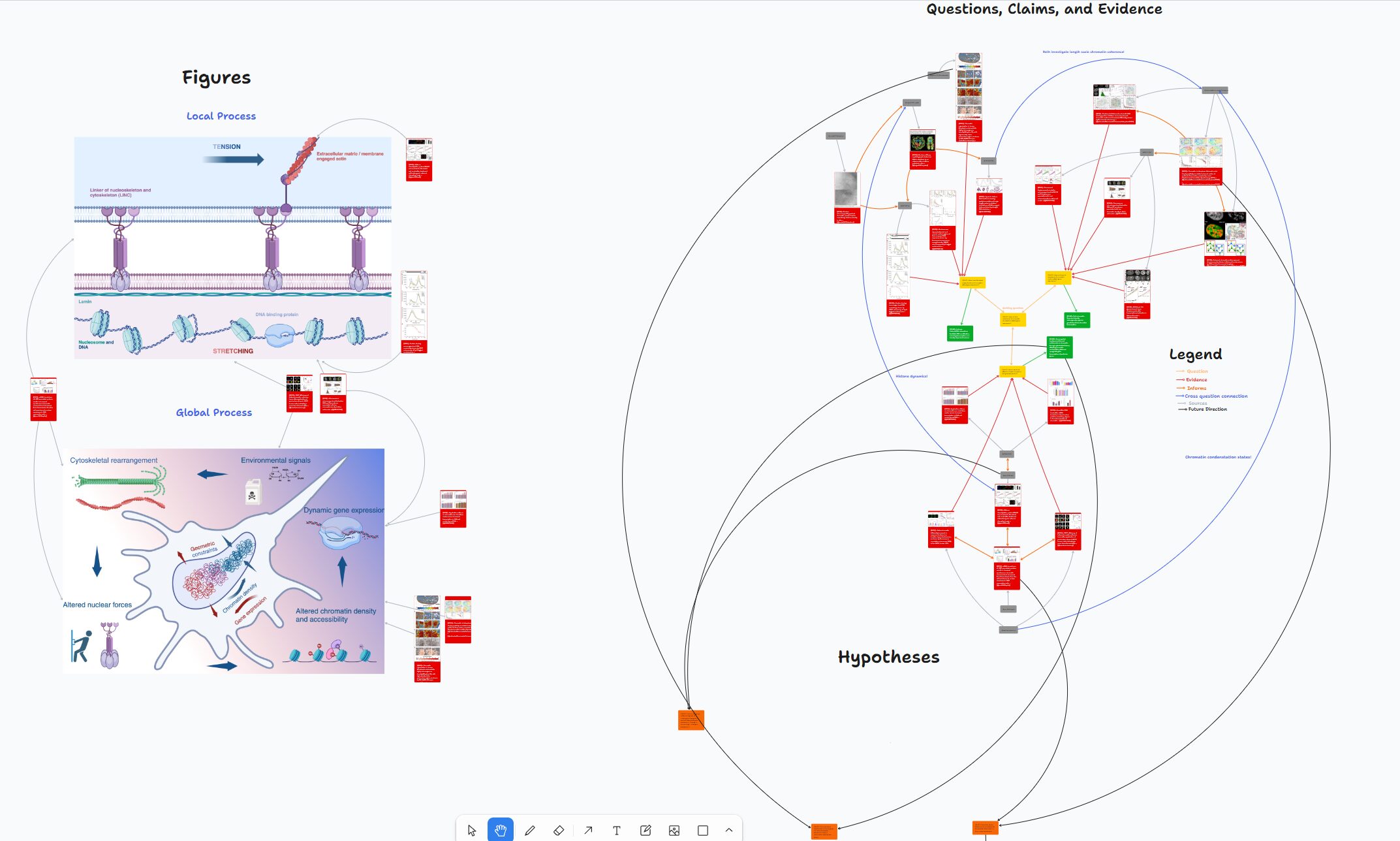 two graphs images detailing the small scale and large scale Chromtin Processes, next to a large diagram showing the relationship between Chromatin hypotheses.